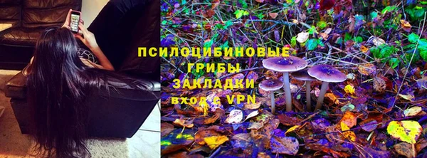 СК Балахна