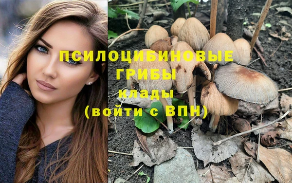 ПСИЛОЦИБИНОВЫЕ ГРИБЫ Балабаново