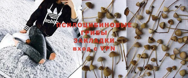 СК Балахна