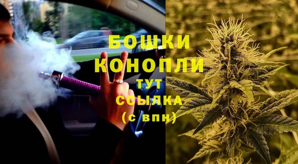 ПСИЛОЦИБИНОВЫЕ ГРИБЫ Балабаново