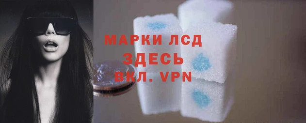 ПСИЛОЦИБИНОВЫЕ ГРИБЫ Балабаново